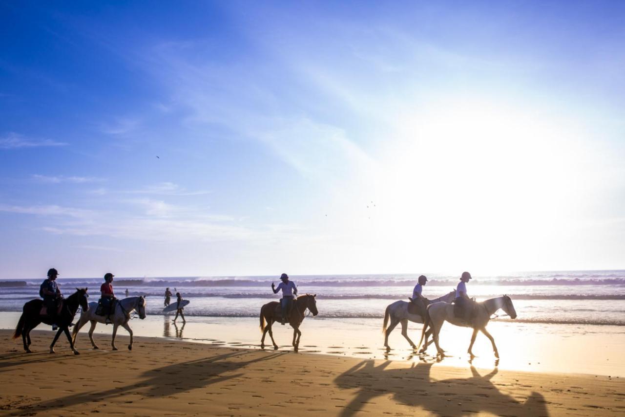 The Lunar Surf House Tamraght 외부 사진