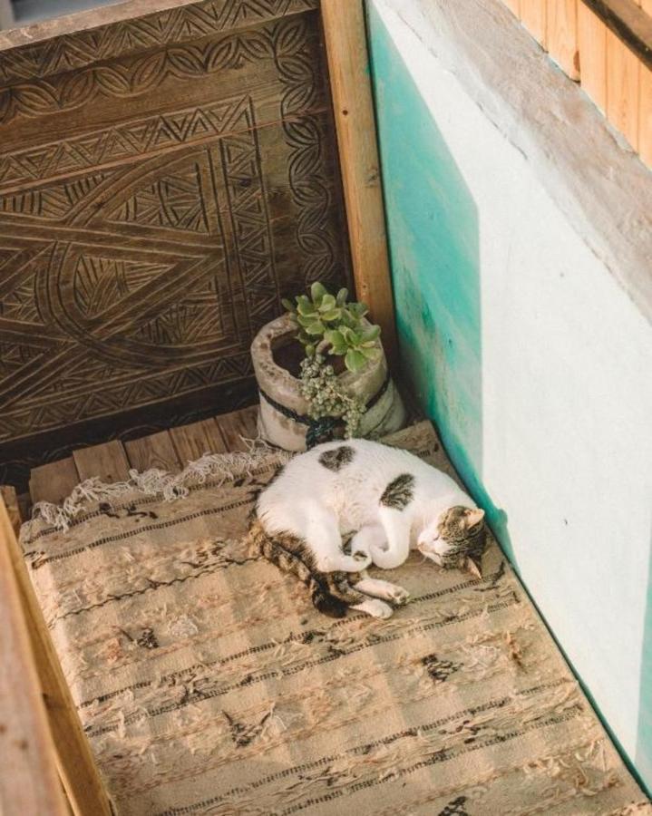 The Lunar Surf House Tamraght 외부 사진